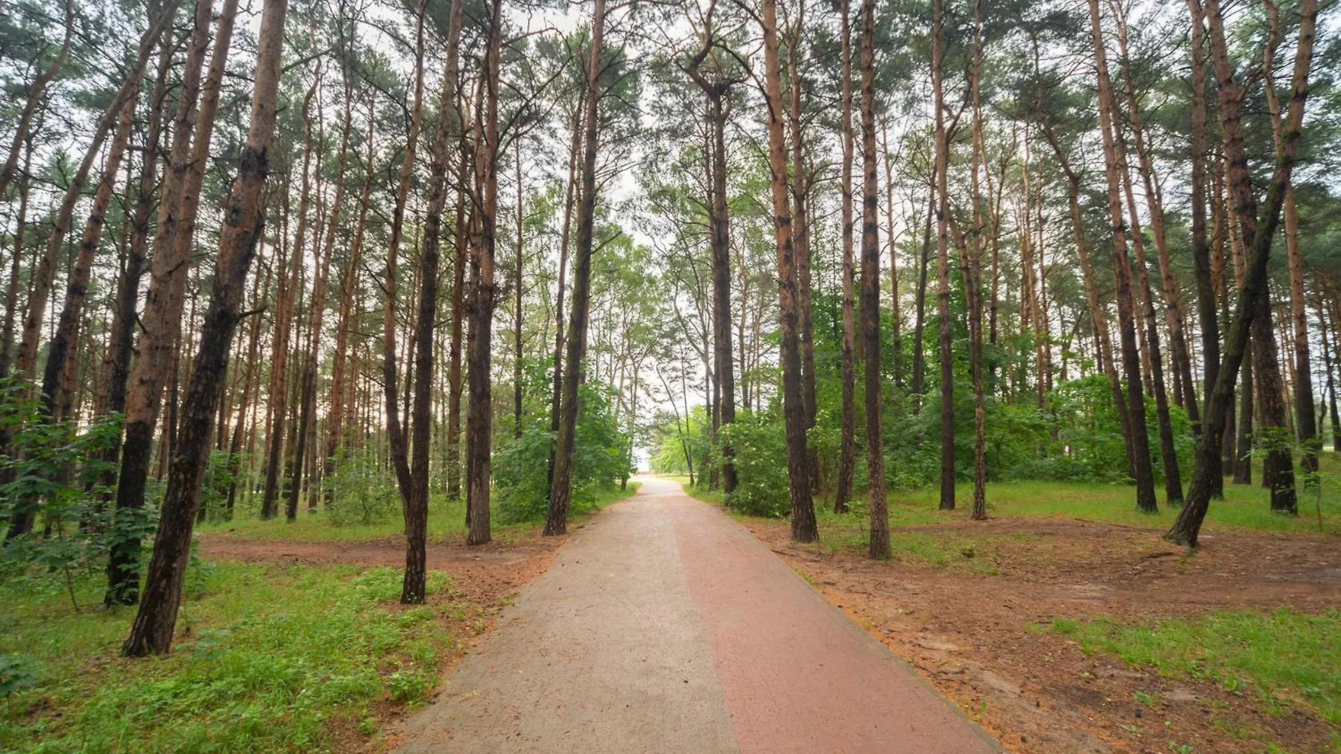 Apartament Wygodny Sopot